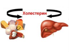 Холестерин в сосудах фото