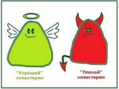 Хороший и плохой холестерин