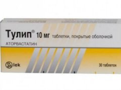 Тулип